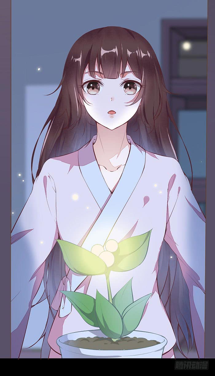 Rebirth Of The Divine Doctor Chapter 02 Gambar 16